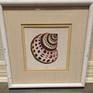 Dan Mitra “Turbo Undulatus” Numbered Print 306/400 – Hand-Colored